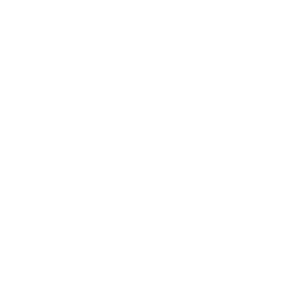 LaaplandSaluzzo's emblem