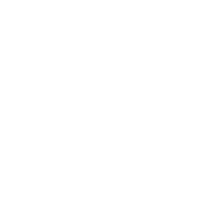 TheWarriorWhale's emblem