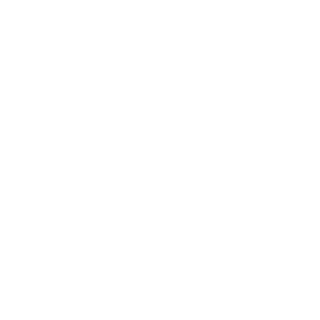 JrbubbaJr357's emblem