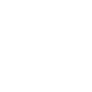 BismarckWithAGun's emblem