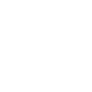 Fast-Ghost-2012's emblem