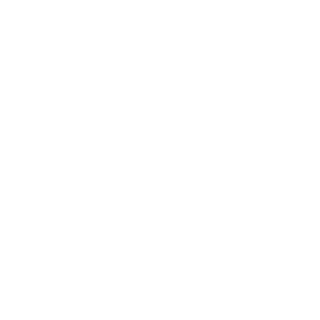8f5e76aeb2b9bf58's emblem