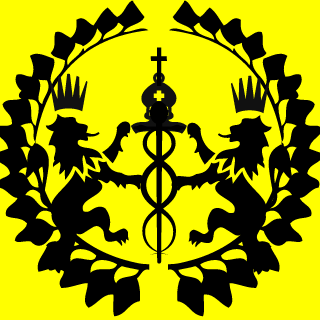 HASHIKIAKIHARA's emblem