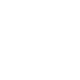 KingLeologic's emblem