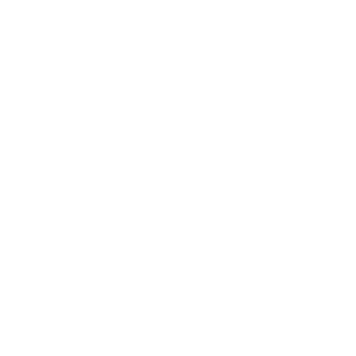 ARSZAWIN's emblem