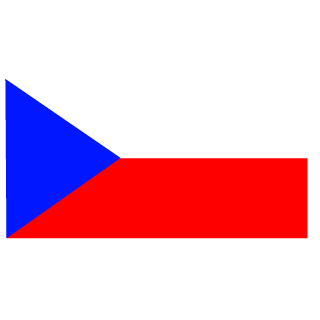 1989_Savage_1989's emblem