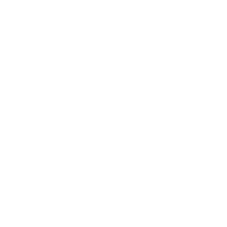 CptSteele_XIX's emblem