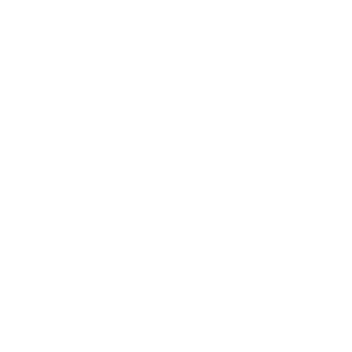 17_xokkeist_17's emblem