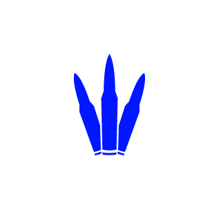 IPG-Slev1n's emblem