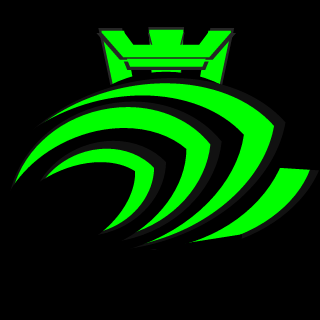 TEAM NVIDIA's emblem