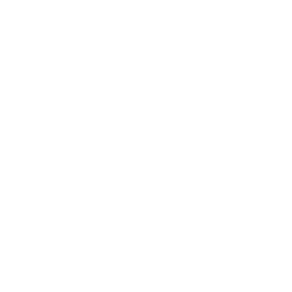 flv3's emblem