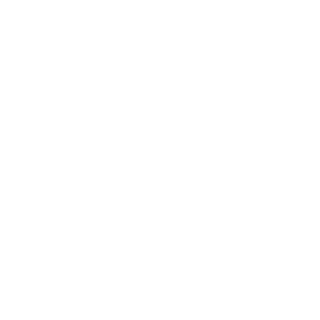 AWSV158's emblem
