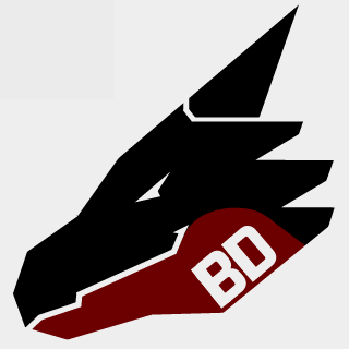 FlareChaser1225's emblem