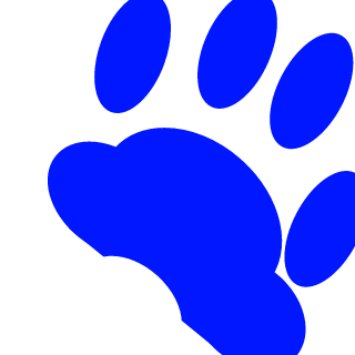 Silver Bobcats's emblem