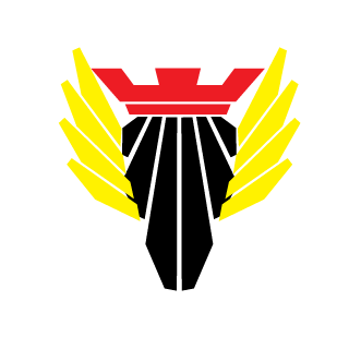 ElronMcB1992's emblem