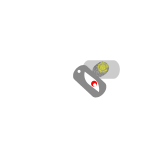lFRT-511's emblem