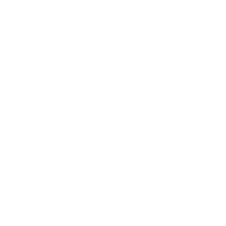 ManoelVictor25's emblem