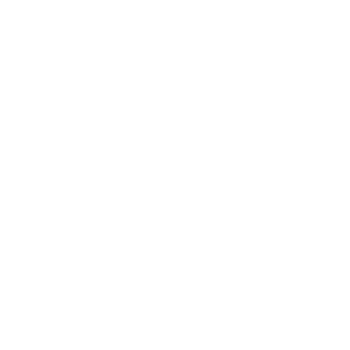 Smitz591's emblem