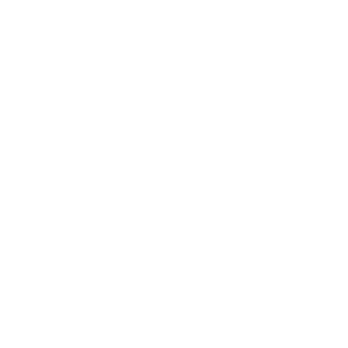 IJoshuaIX's emblem