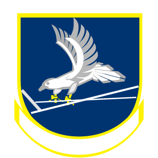 PatchesDaUndead's emblem