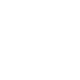 SpacewalI's emblem