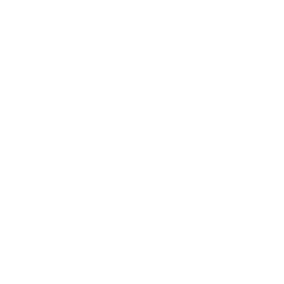 lager500's emblem