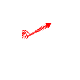 romulolacana's emblem