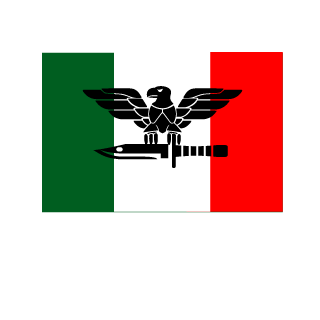 STRIG8585's emblem