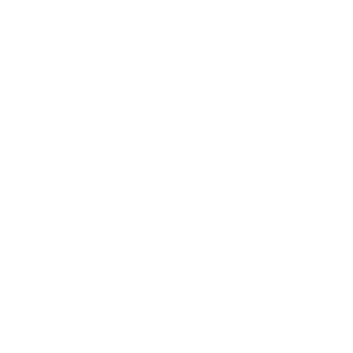 SOLDAT-TI-TOM's emblem