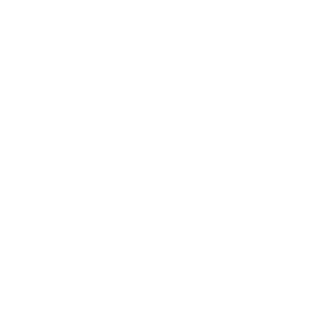 Nazrin_Gaming's emblem