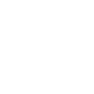 lNai9l's emblem