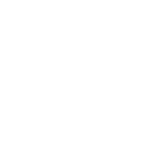 Shamane555's emblem