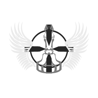 PacificNic's emblem