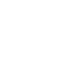 PLDhassan's emblem