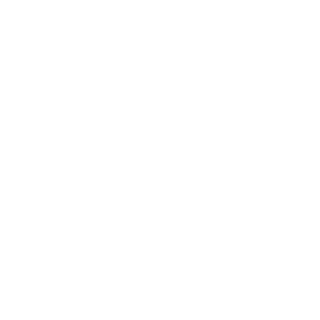 Linke250's emblem