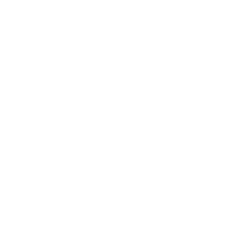 Vz H's emblem