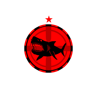 iCooooe's emblem