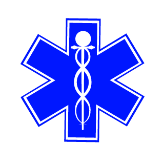 MediC-kz's emblem
