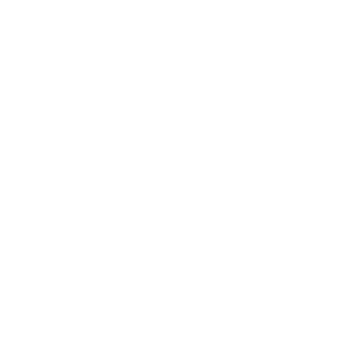 ShadowAntWarrior's emblem