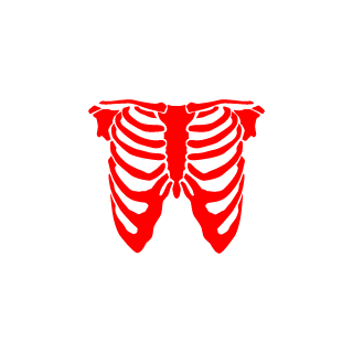 G13419's emblem