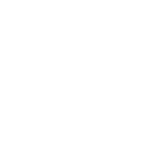 Conscript_ProMax's emblem