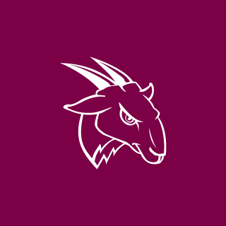 dybalamoreira1's emblem