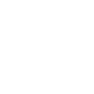 Vierzino's emblem