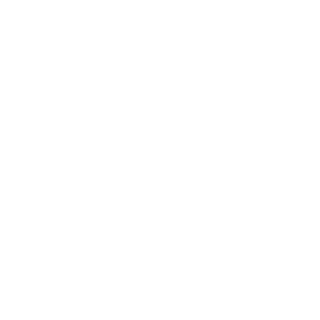 Perun95's emblem
