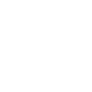 VjrginThaSlayer's emblem