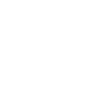 PhenomenalN3V3R's emblem
