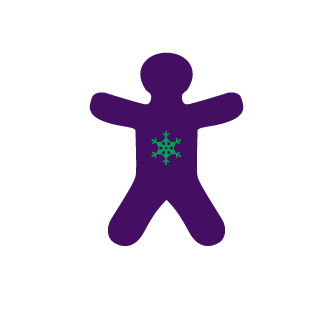 pLikeSIte's emblem