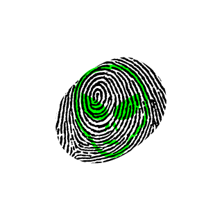 Piotrek_225's emblem