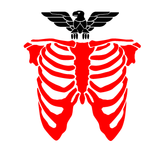 SuppenkasperTV's emblem