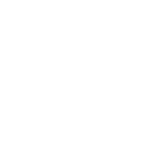 Namor01's emblem